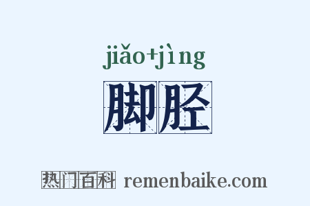 脚胫是什么意思的图片